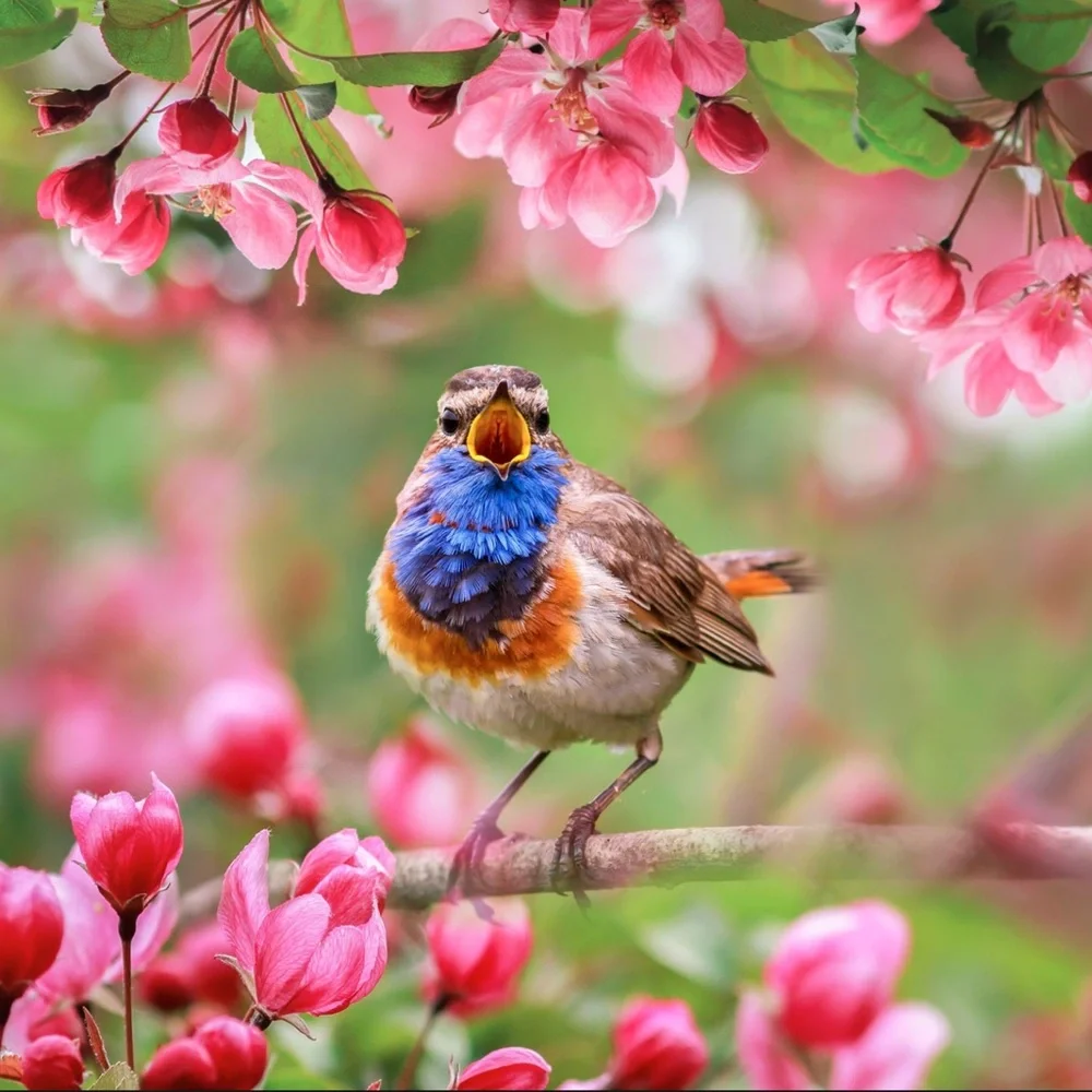 Happy Spring 💜💛💙🩷🩵 - Picture 11 of 16